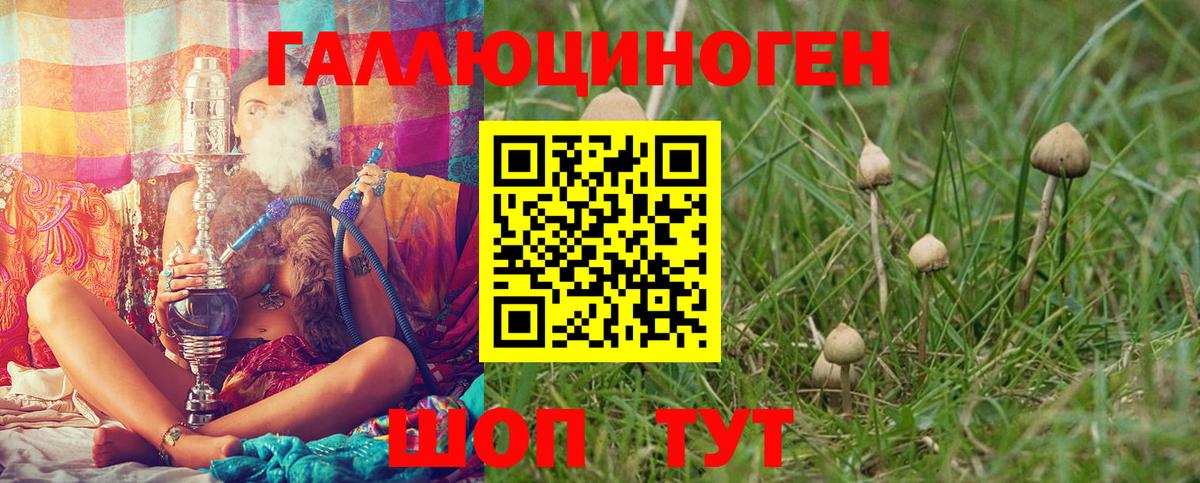 Псилоцибиновые грибы Cubensis  Вход с VPN  Сорочинск 